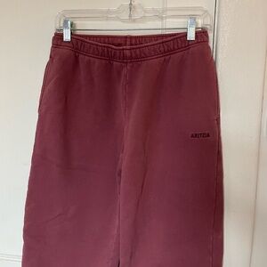 Aritzia Mauve Eggplant Sweatfleece Mega Cozy Fleece Sweatpants